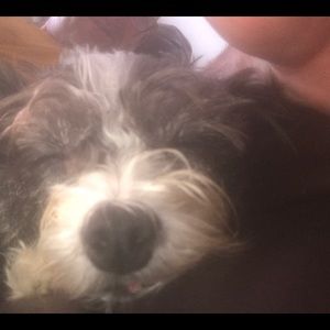 Meet your Posher, Robert